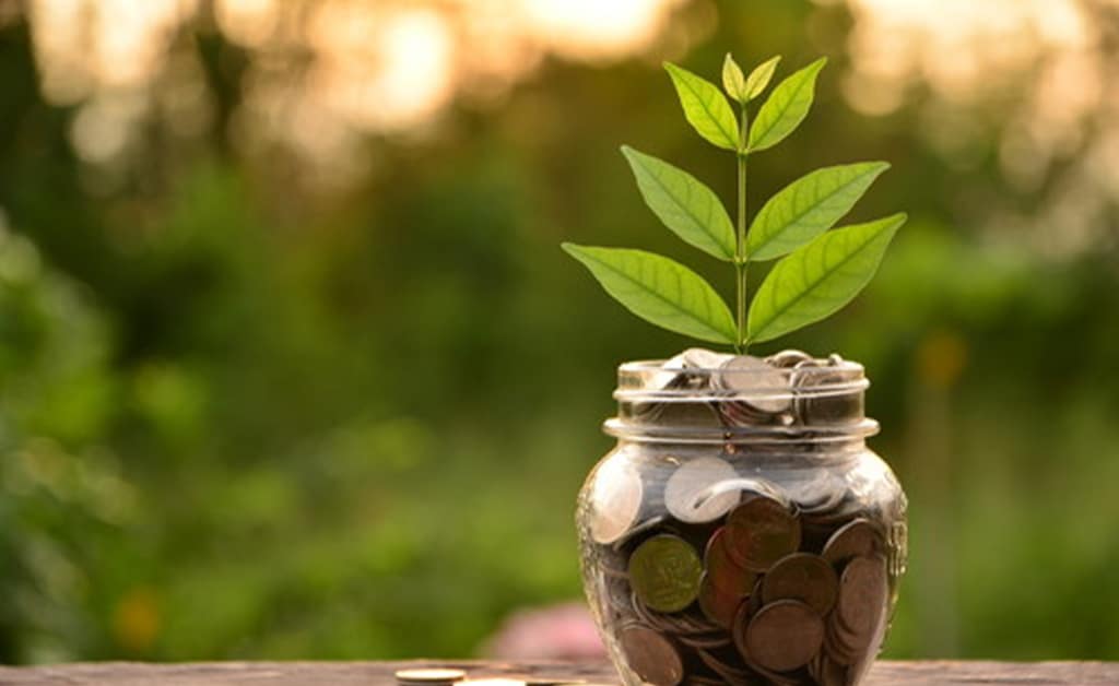 ESG Investing and the Bioeconomy:  ESG Investing Through the Financier’s Eyes